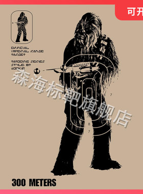 标靶R35主题靶纸 EVA靶40*30CM 射击、竞技、练习靶纸 Target