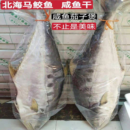 渔家自晒北海特产马胶咸鱼干海鲜