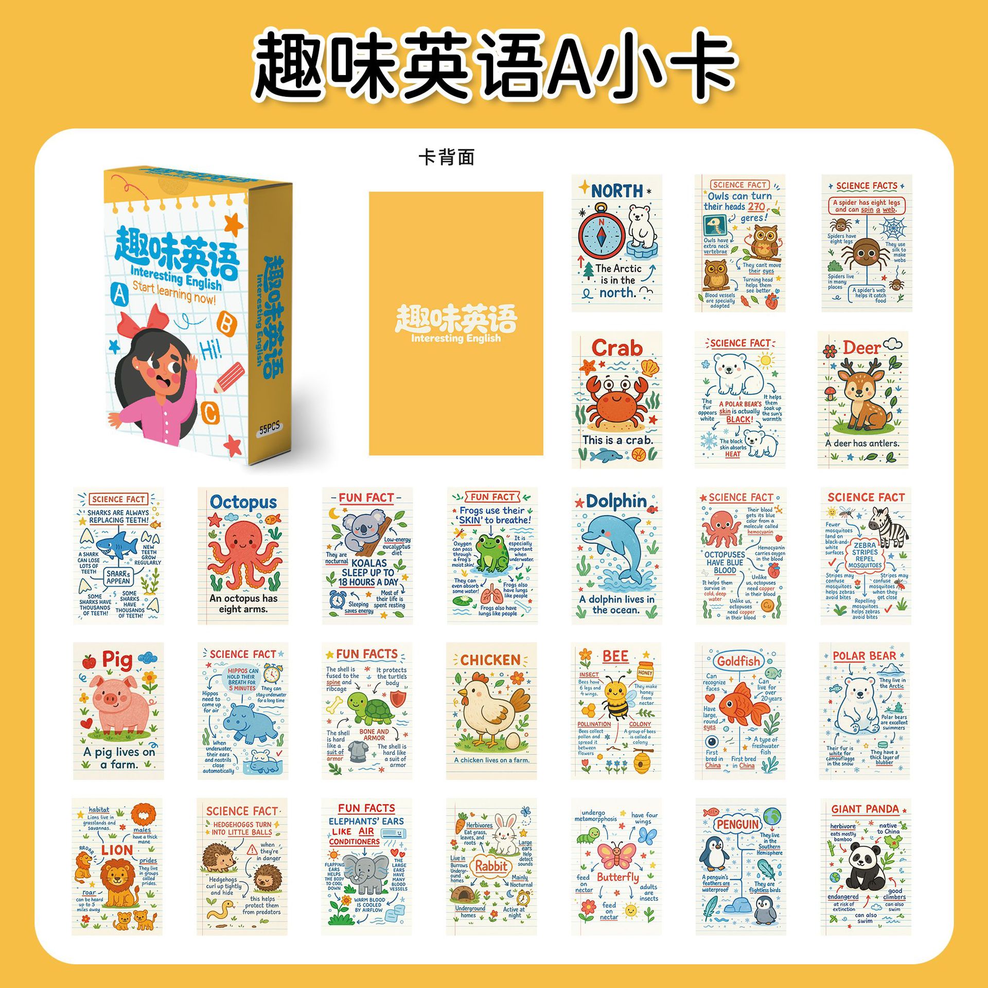 趣味英语A小卡55张可爱卡通插画