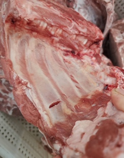 新鲜冷冻猪排骨猪前排整箱20斤菜猪无颈前排品质保证江浙沪皖包邮