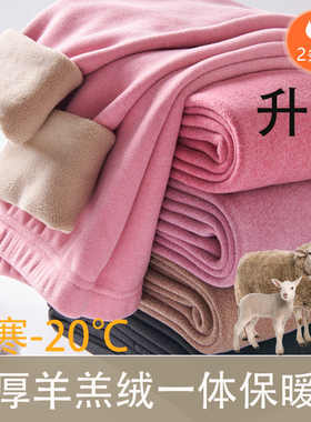 加厚加绒保暖裤女一体羊羔绒中高腰德绒大码东北内穿打底棉毛裤冬