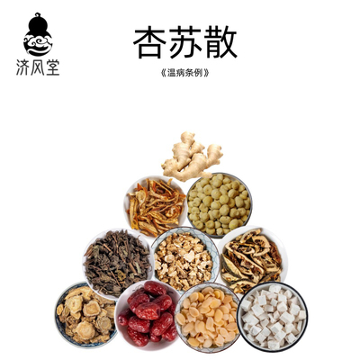 济风堂 杏苏散《温病条例》经典方剂原材料半夏茯苓前胡桔梗枳壳