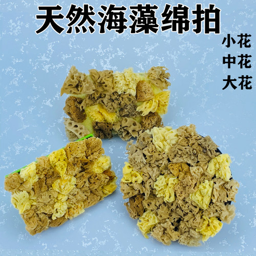 日洋三色珠光幻彩漆天然海藻绵拍
