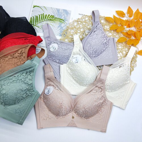 婵娟鸟奢华无钢圈桑蚕丝聚拢内衣