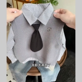 套装 洋气韩版 2025新款 男宝宝秋装 毛衣马甲三件套潮 春秋季 男童秋装