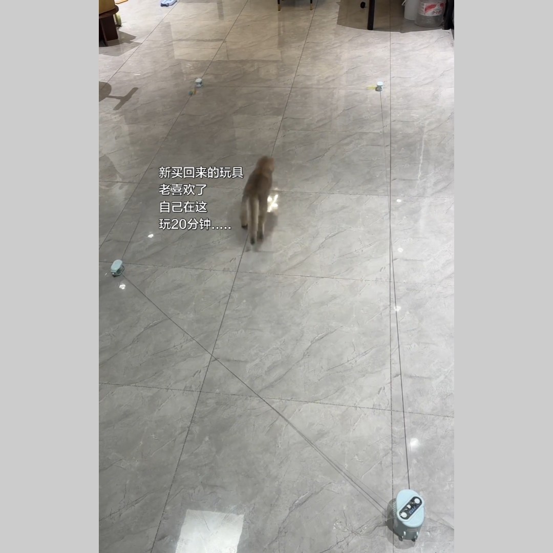 宠物智能逗猫玩具互动捕猎猫玩具遥控发声小鸟叫逗猫棒宠物追逐器