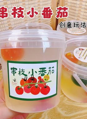 笑笑史莱姆串枝小番茄假水泥