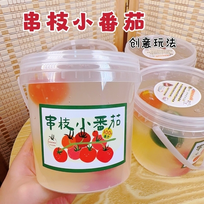 笑笑史莱姆串枝小番茄假水泥
