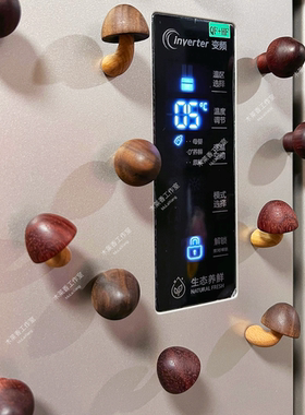 造形独特冰箱贴外购可爱
