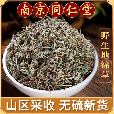 地锦草中药材500克斑地锦草