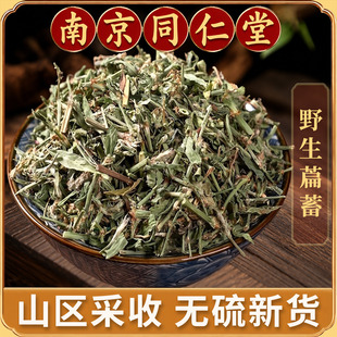 萹蓄中药材500克扁蓄遍蓄篇蓄竹粉节草道生草扁蔓便须牛鞭地萹草