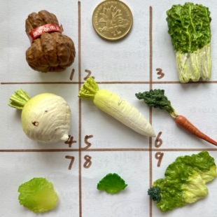 rement早期绝版食玩散货花朵萝卜白菜