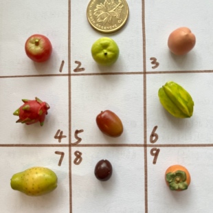 rement早期绝版食玩水果