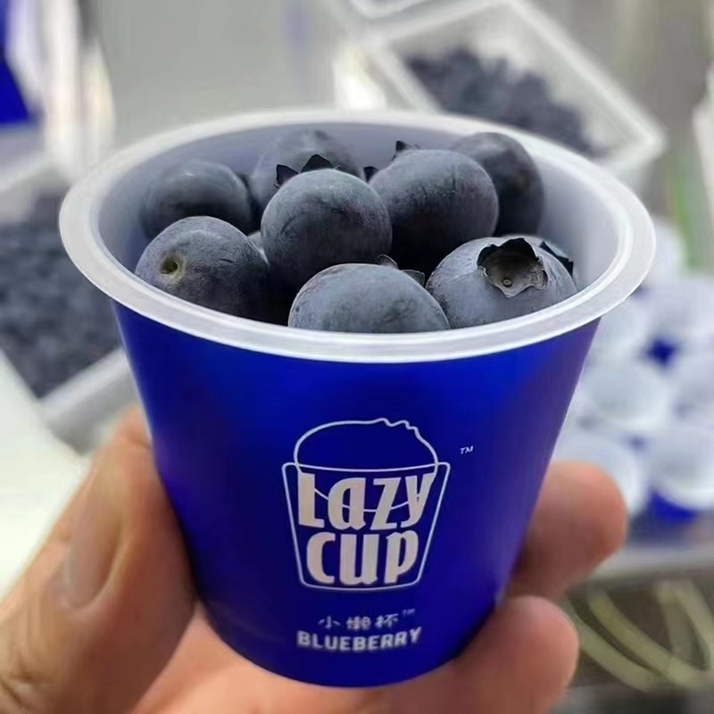 工厂定制定做蓝莓杯小懒杯新鲜蓝莓包装盒膜内贴蓝莓杯水果沥水杯