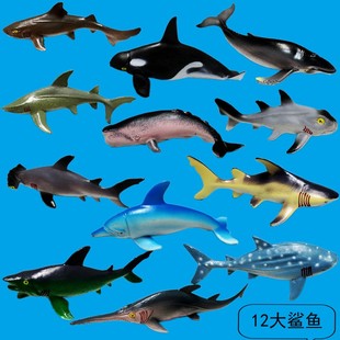 12只仿真软体塑胶大鲨鱼海洋生物动物玩具模型套装 20厘米 包邮