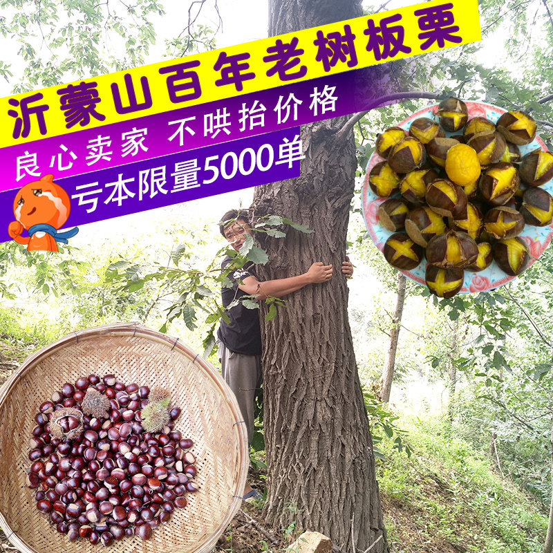 板栗 沂蒙山农家新鲜栗子5斤包邮 新鲜板栗