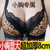 小胸显大平胸聚拢加厚上托8cm无钢圈文胸性感豹纹蕾丝内衣女套装