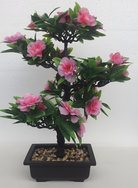 粉色桌面装饰客厅落地花卉绿植