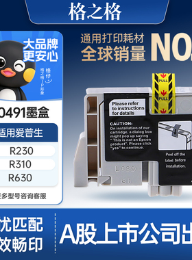 格之格适用于爱普生T0491墨盒epson styus photo R210 R310 R350 RX510 EX630打印机墨盒 R230墨盒