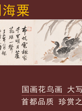 刘海粟国画作品大写意花鸟画芦雁图双鸭图现当代名家名画装饰字画