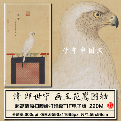 郎世宁画玉花鹰图轴清朝古代工笔白鹰装饰打印高清电子版图片素材