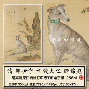郎世宁画十骏犬斑锦彪图立轴清朝古代工笔狗绘画高清电子图片素材