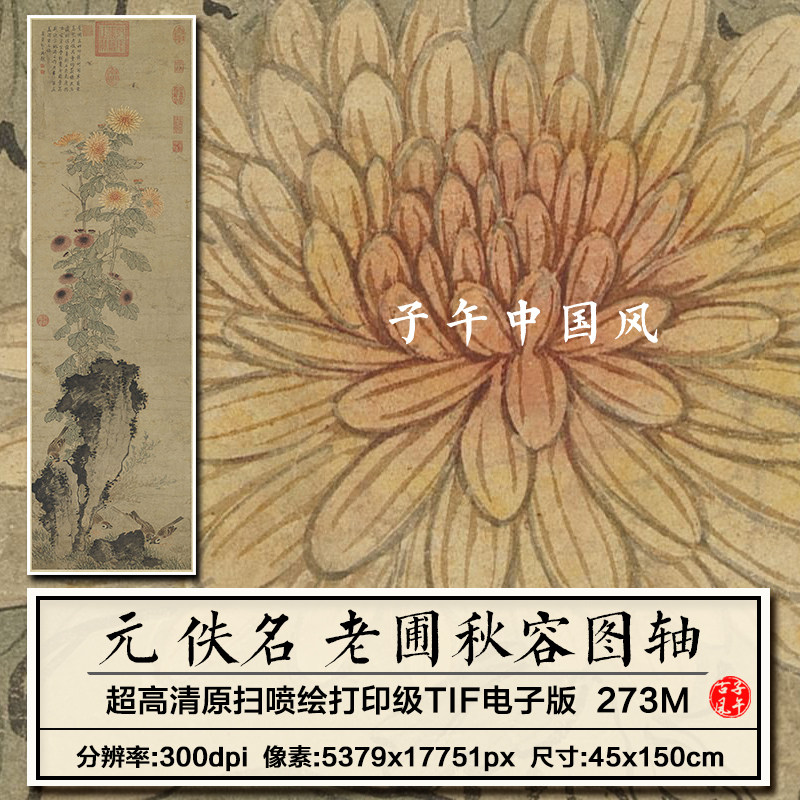 元朝佚名老圃秋容图轴古代传统工笔菊花卉装饰画高清电子图片素材