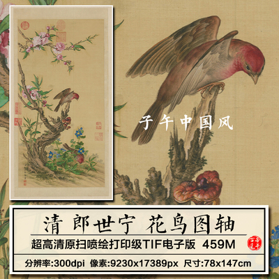 郎世宁花鸟图轴清朝古代工笔花卉鸟雀绘画装饰高清电子版图片素材