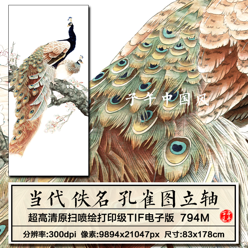 佚名孔雀图立轴传统古典工笔吉祥鸟装饰画背景高清电子版图片素材