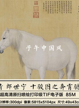 清朝 郎世宁 十骏图之奔霄骢图古代工笔骏马绘画高清电子图片素材