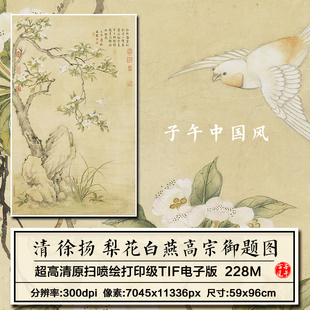 徐扬梨花白燕高宗御题图清朝古代工笔花鸟装饰高清电子版图片素材