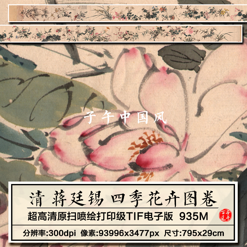 蒋廷锡四季花卉图卷清朝古代水墨花卉装饰临摹高清电子版图片素材