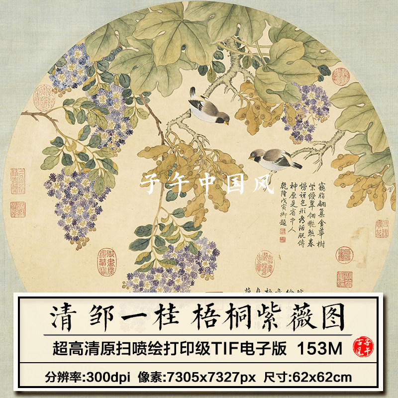 邹一桂梧桐紫薇图轴清朝古代圆形镜芯工笔花鸟高清电子版图片素材