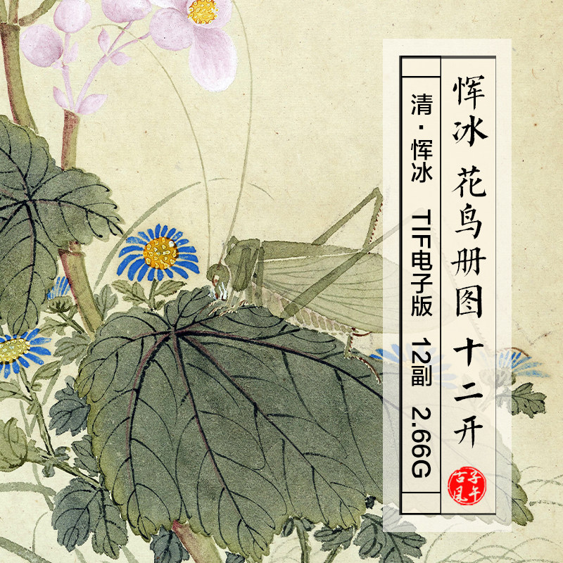 恽冰花鸟图画册十二开清朝古代绘本装饰打印临摹高清电子图片素材