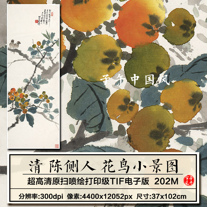 陈侧人花鸟小景图轴清朝古代传统花卉琵琶装饰高清电子版图片素材
