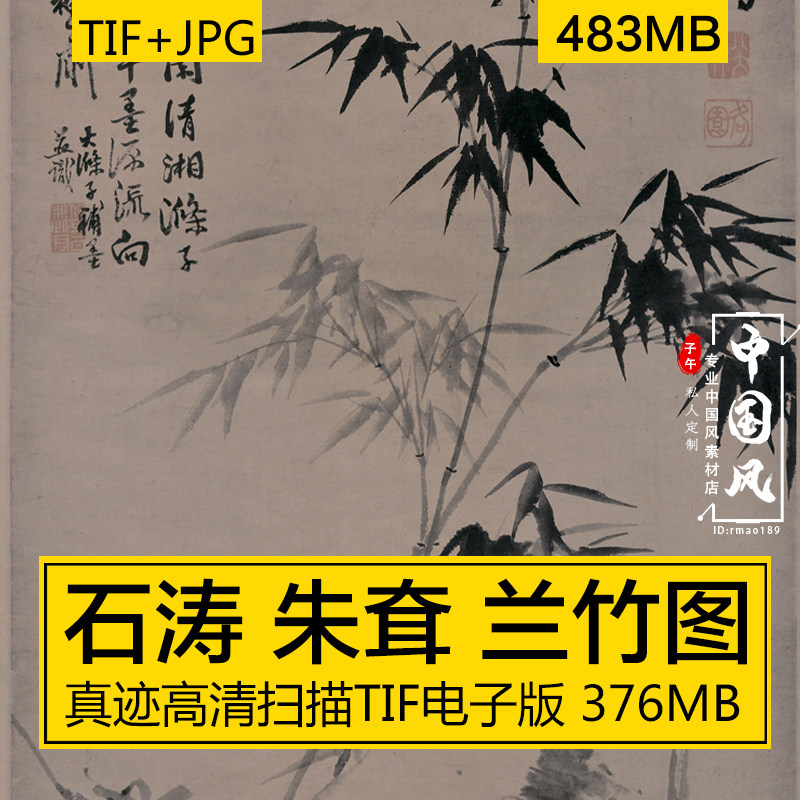 兰竹图 石涛 朱耷清代古风国画水墨笔山石竹叶美术高清电子版素材