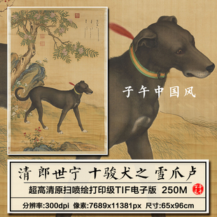 郎世宁画十骏犬雪爪卢图轴清朝古代工笔狗狗绘画高清电子图片素材