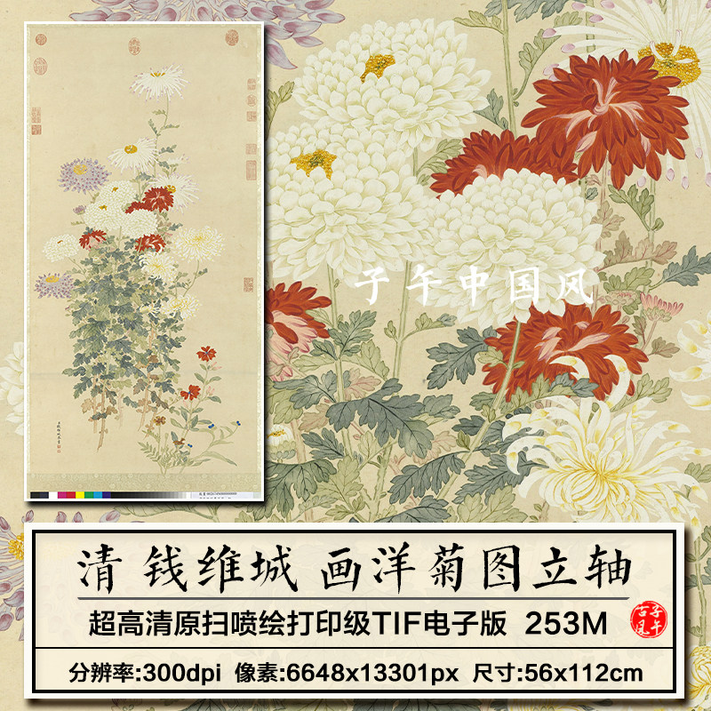 钱维城画洋菊图立轴清朝古代工笔菊花卉装饰打印高清电子版大图片