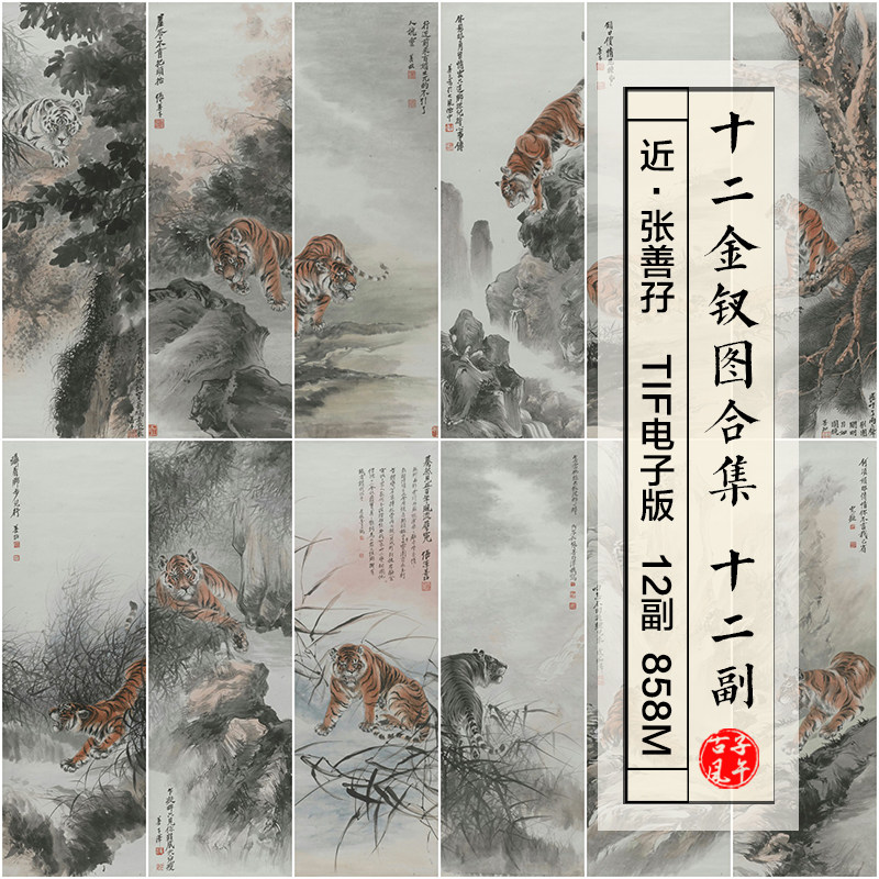 张善孖十二金钗图12副合集近现代水墨猛虎绘画高清电子版图片素材
