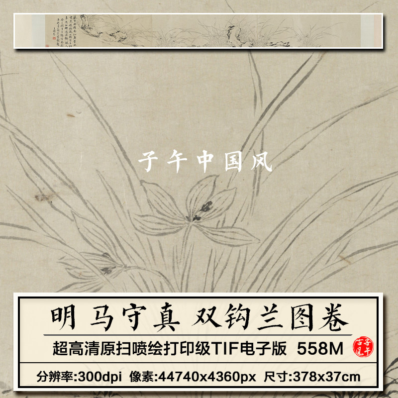 马守真双钩兰图卷明朝古代水墨兰花图卷高清装饰电子版大图片素材