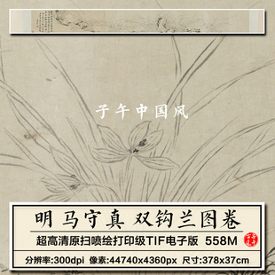马守真双钩兰图卷明朝古代水墨兰花图卷高清装饰电子版大图片素材