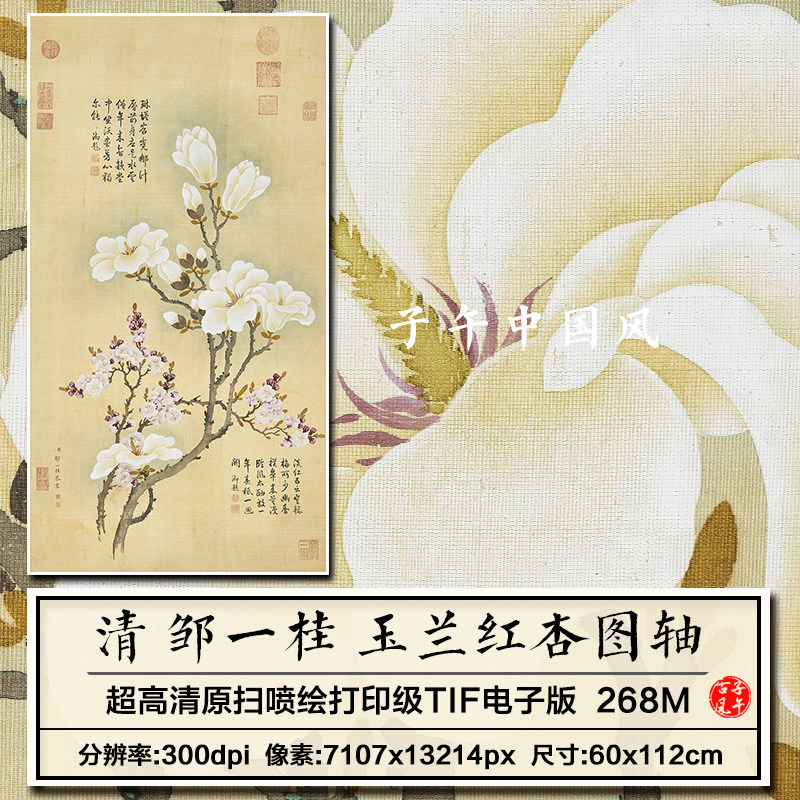 邹一桂玉兰红杏图轴清朝古代工笔花鸟手绘画高清电子版稿图片素材
