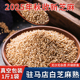 2025年新货白芝麻熟调料家用厨房即食炒熟免洗带皮烘焙商用500g