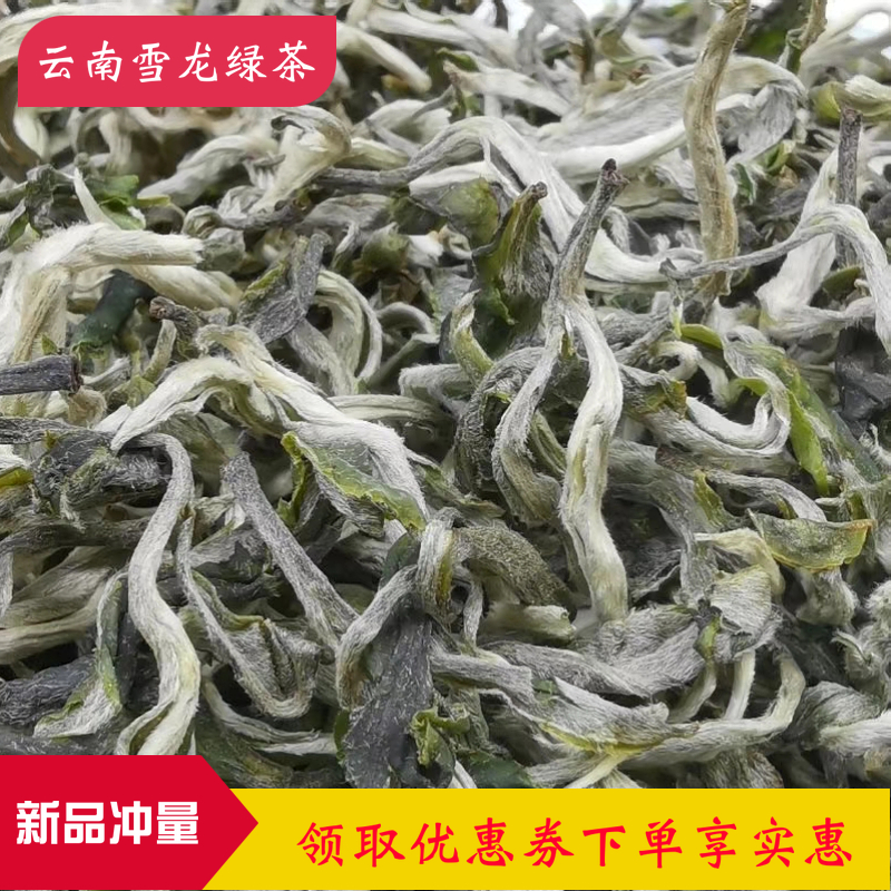 云南绿茶2024新茶叶早春雪龙罐罐春尖茶特普洱级滇绿毛峰散装500g