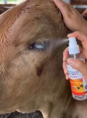 欣佑刍牛羊红眼净牛羊流眼泪眼屎多长白膜结膜羊眼睛红亮眼液喷剂