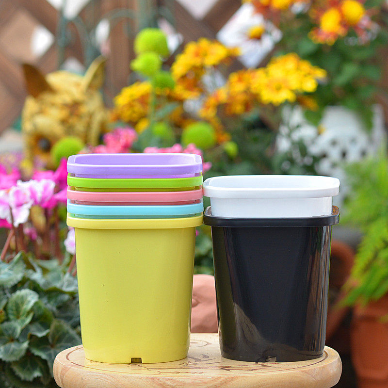 p02酢浆草种球小塑料花盆球根花卉假植专用盆多色彩色醡浆草加厚