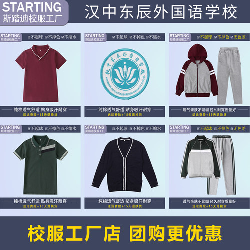 陕西省汉中东辰外国语学校校服徽