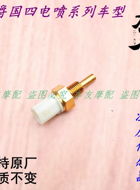 适用豪爵星致UFD125/VH125/VN100/VM100/VF100 发动机温度传感器