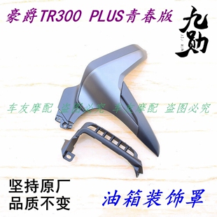 适用豪爵TR300 PLUS青春版油箱装饰盖侧板侧罩侧盖护板护罩导流罩