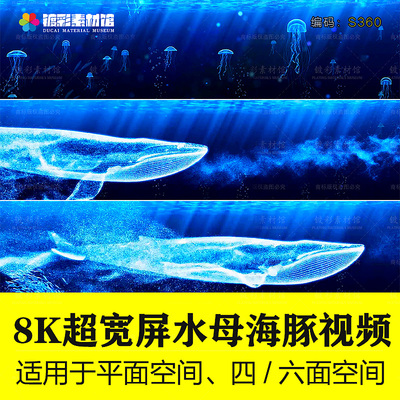 4K宽屏海底世界鲸鱼群水母海豚粒子海洋天幕LED大屏视频素材S360